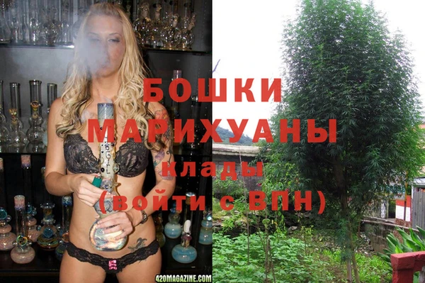 spice Бронницы