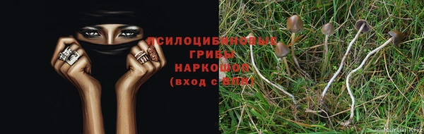 spice Бронницы